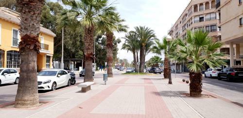 Apartamento Guardamar Playa