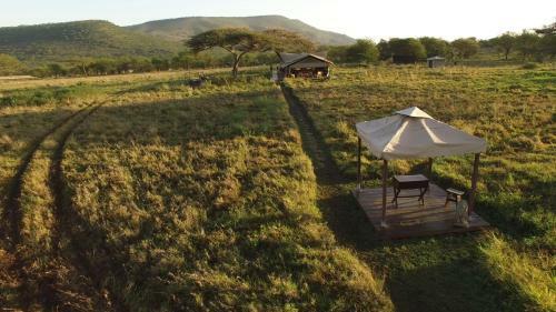 Asanja Africa