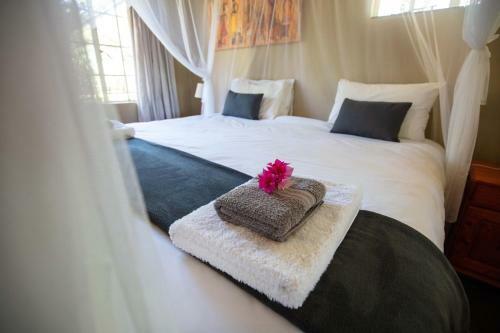 Kum Kula Lodge