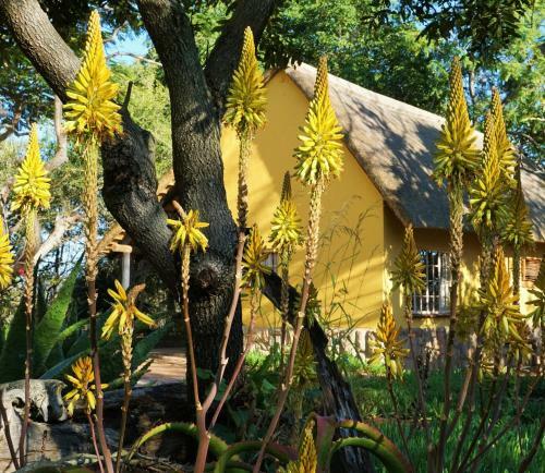 Kum Kula Lodge