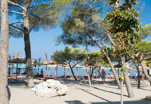 Holiday Luxury Apartments