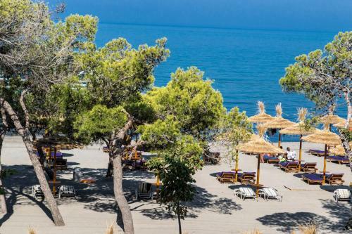 Holiday Luxury Apartments