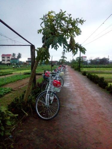 Bed & Breakfast An Bang Beach Town Homestay