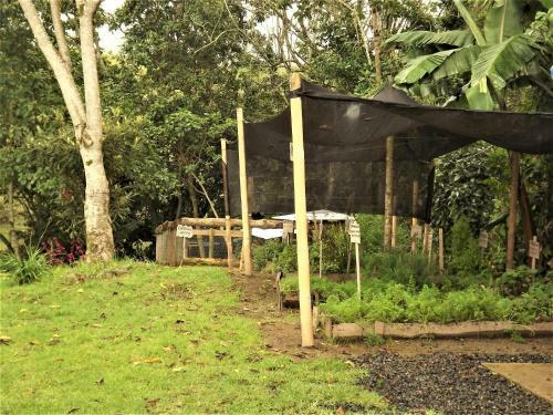 Hostal El Zorzal
