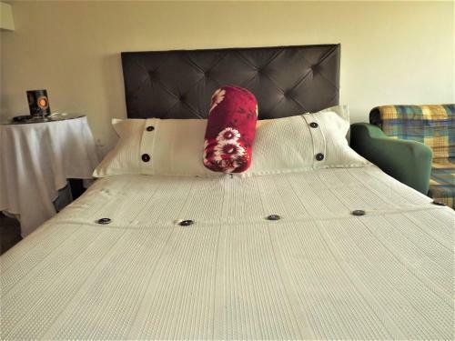Hostal El Zorzal