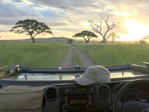 Lodge One Nature Nyaruswiga Serengeti