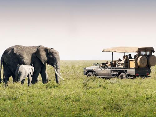 Lodge One Nature Nyaruswiga Serengeti