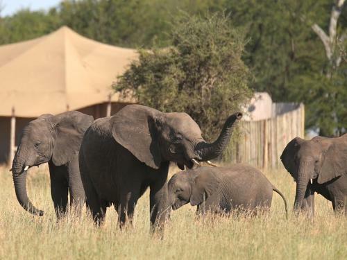 Lodge One Nature Nyaruswiga Serengeti