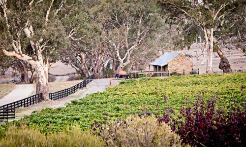 Brockenchack Vineyard Bed & Breakfast