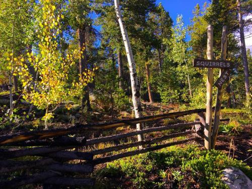 Mountain Rv Experience On 35 Acres
