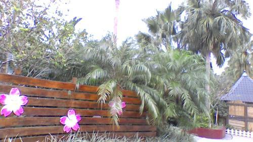 Bed & Breakfast In Bali Inn