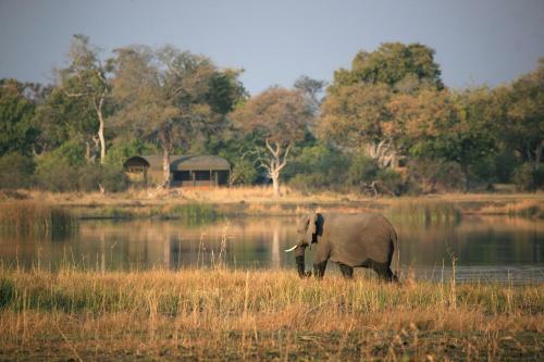 Lodge Jackalberry Tented Camp