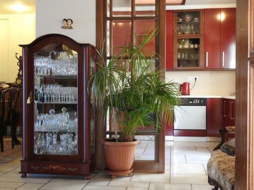 Apartamento Collector Beach Loft