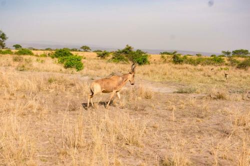 Sambiya River Lodge