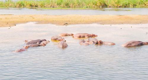 Sambiya River Lodge