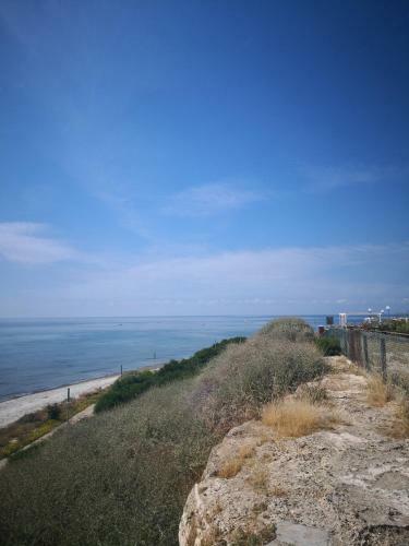 Sandy Beach House No.z2
