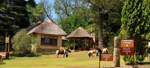 Hostal Berghouse And Cottages