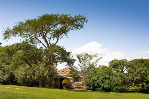 Hostal Berghouse And Cottages