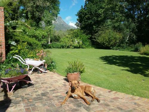 Hostal Languedoc