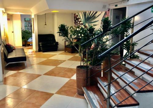 Hotel Casa Malib�