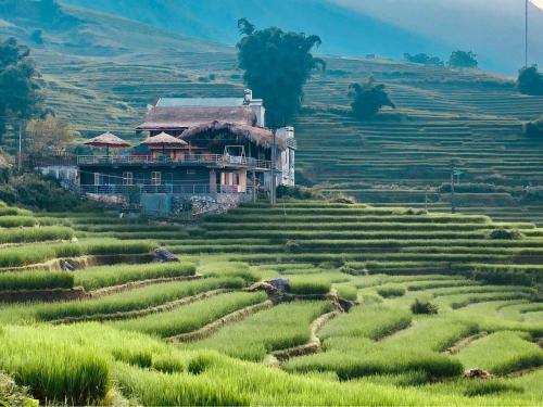Hoa's Homestay Sapa