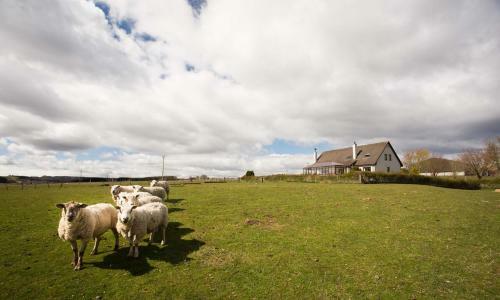 Bed & Breakfast Leanach Farm