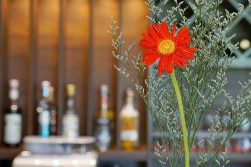 Hotel Hoi An Field Boutique Resort & Spa