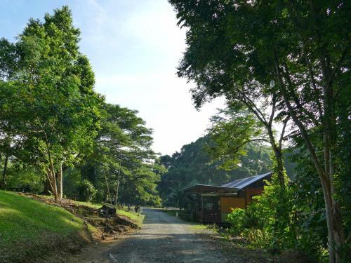 Sepilok B&B