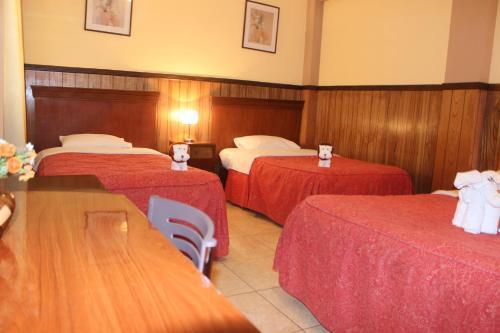 Hotel El Tumi 2
