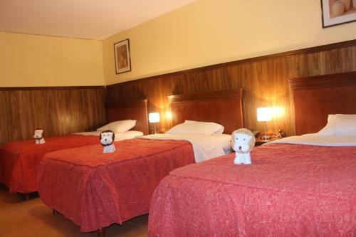 Hotel El Tumi 2