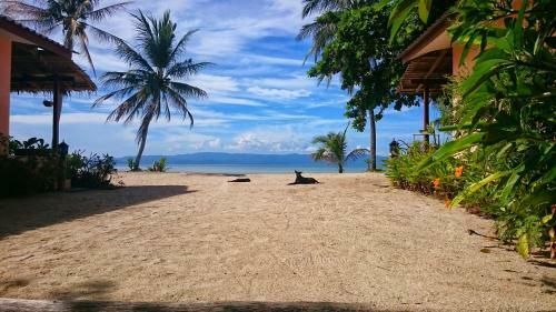 Hostal Papillon Bungalows