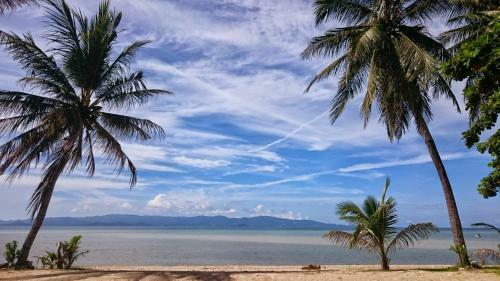 Hostal Papillon Bungalows