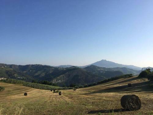 Bed & Breakfast Residenza Case Pacifici