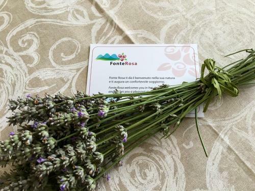 Agroturismo Agriturismo Fonte Rosa