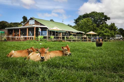 Agroturismo Natures Way Bushbuck Cottage