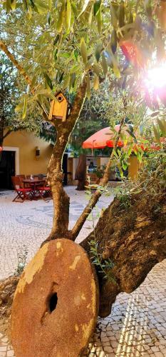 Hostal Casa de Campo Colmeal