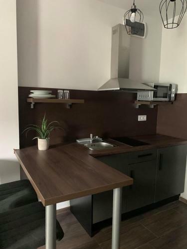 Bed & Breakfast Balkon Apartmanh�z Panzi�