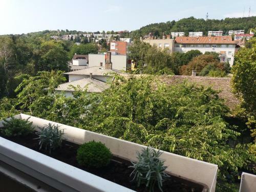 M�ln�s Macska Apartman