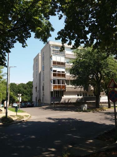 M�ln�s Macska Apartman