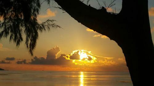 New Marjoly Beach Resort