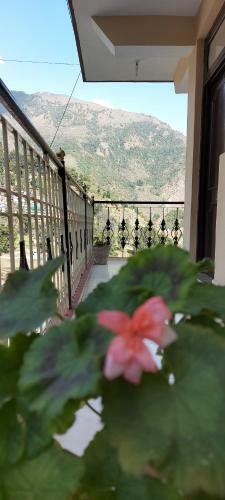 Hostal Green View Guest House