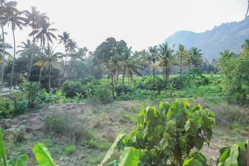 Hotel Oyo 23388 Fathima Residency