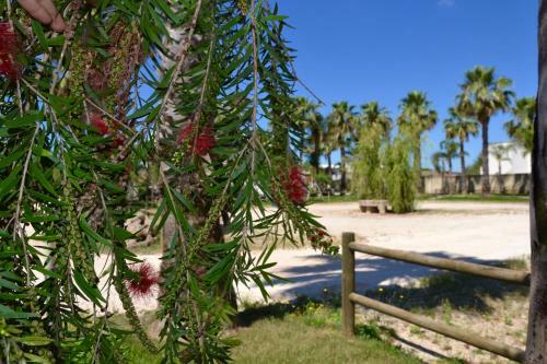 Agroturismo Agriturismo Santa Croce