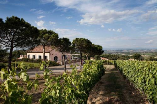 Hostal Camere Febo