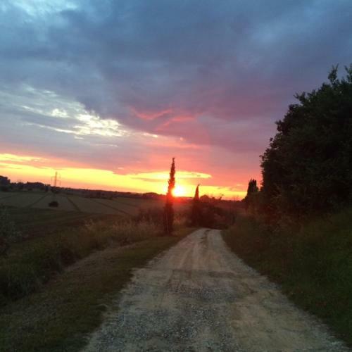 Agroturismo Tenuta Scacciavolpe