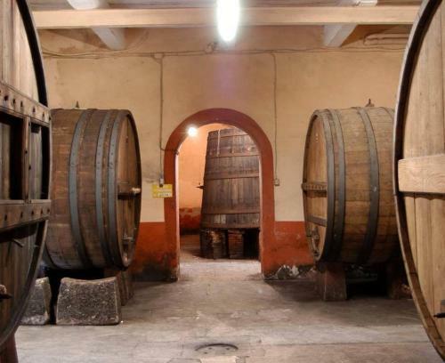 Agroturismo Tenuta Scacciavolpe