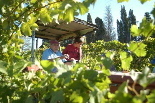 Agroturismo Tenuta Scacciavolpe