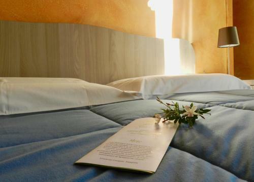 B&B Gelsomino