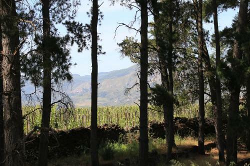Agroturismo A Barunissa Country House