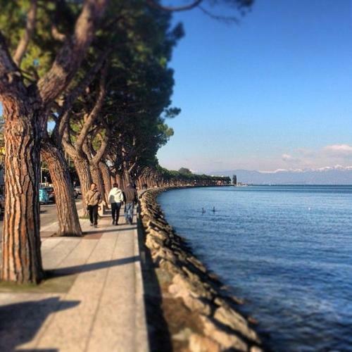 Onlygarda